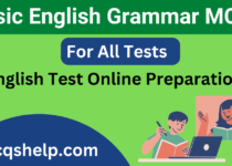 Basic English Grammar MCQs Online Test Preparation